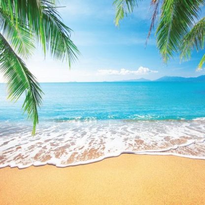 SEA SPRAY AND COCONUT - BUNDLE